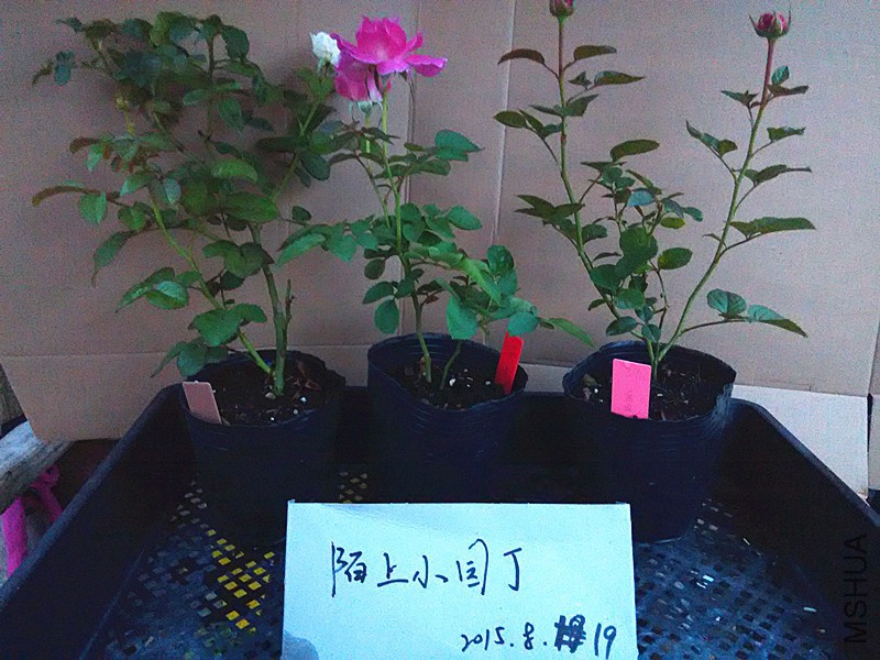 �������췽ҹ̷���ɶ�.jpg