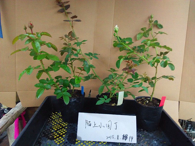 �濨����������֬ά����.jpg