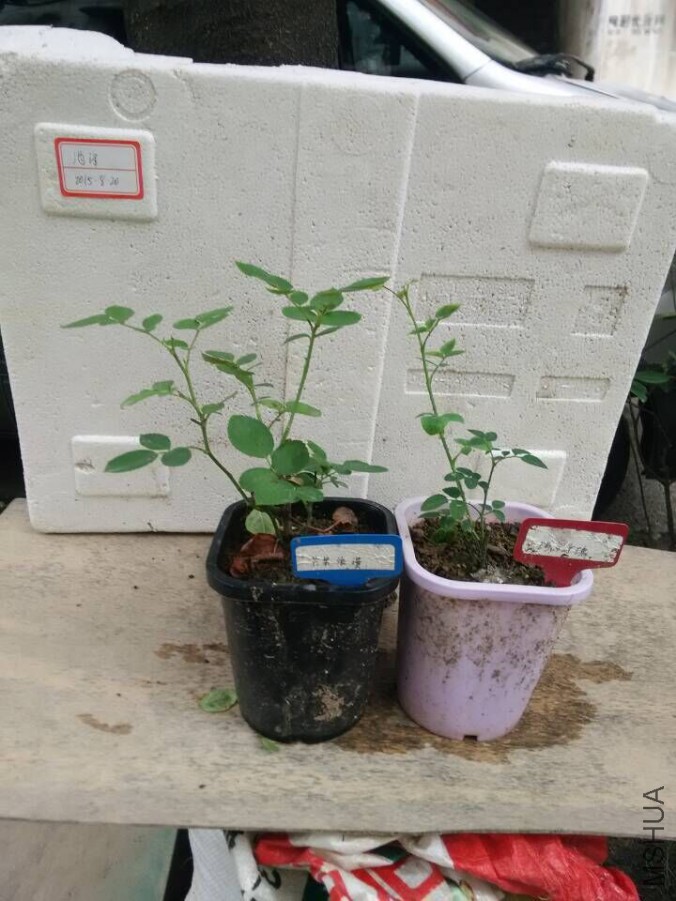 QQͼƬ20150820085056.jpg