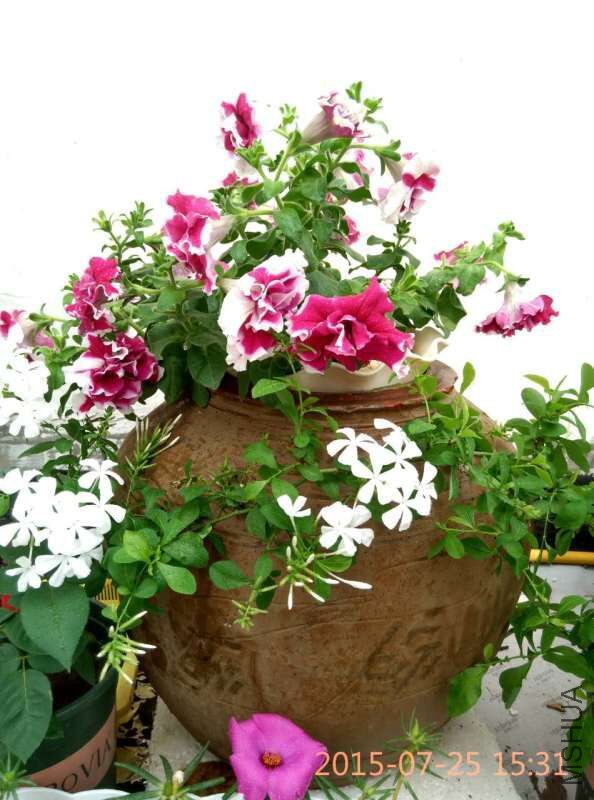 ����ʱ�������