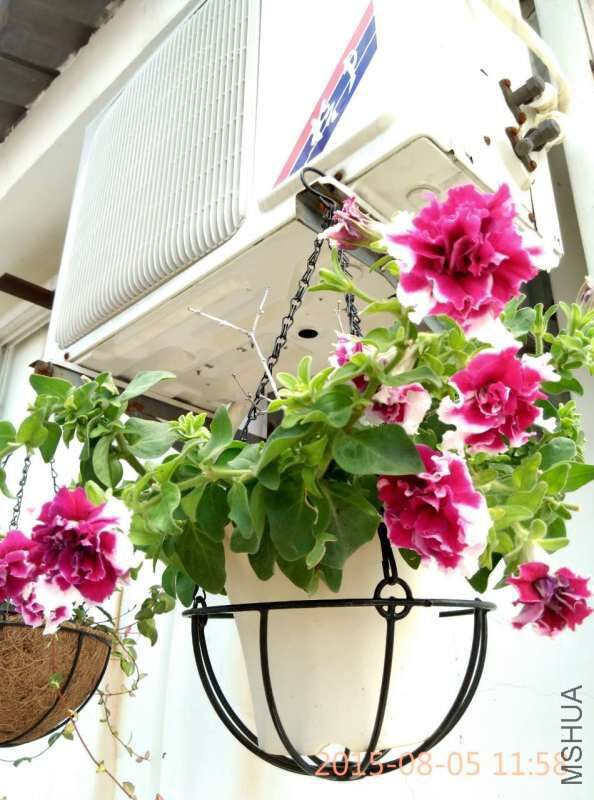 ����������Ȼ����