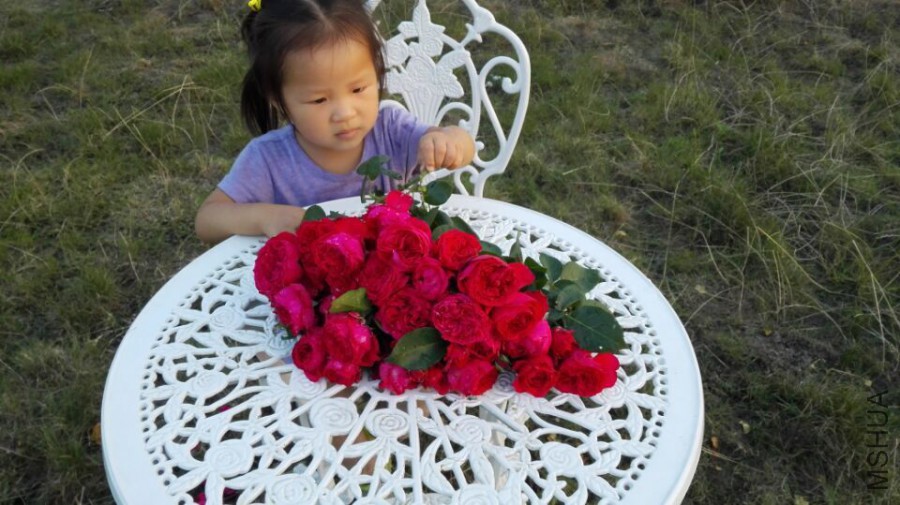 QQͼƬ20150819230603.jpg