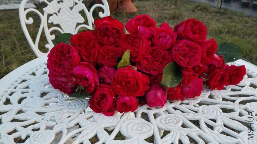 QQͼƬ20150819230427.jpg