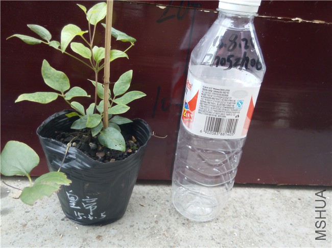 20150820151921�ʵ�.jpg
