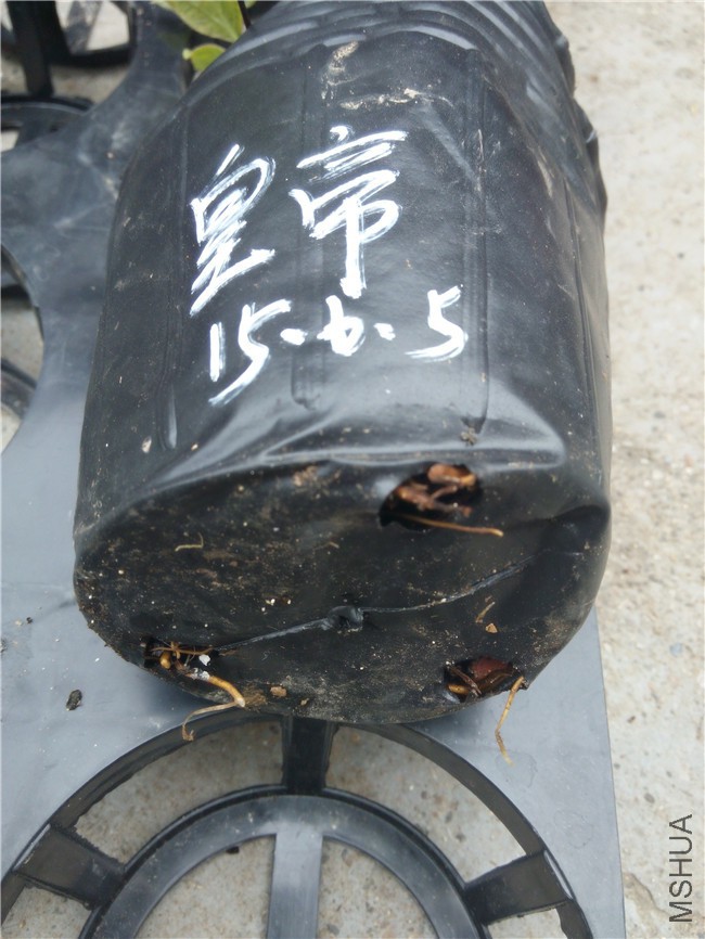 20150820151941.jpg
