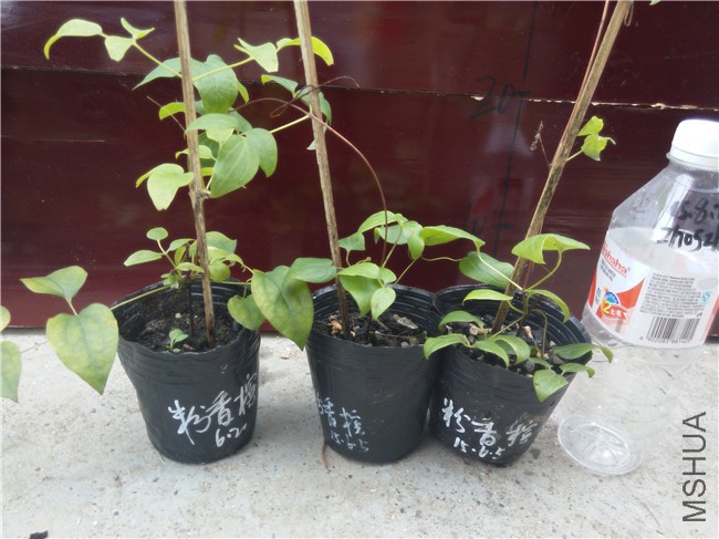 20150820152033������.jpg