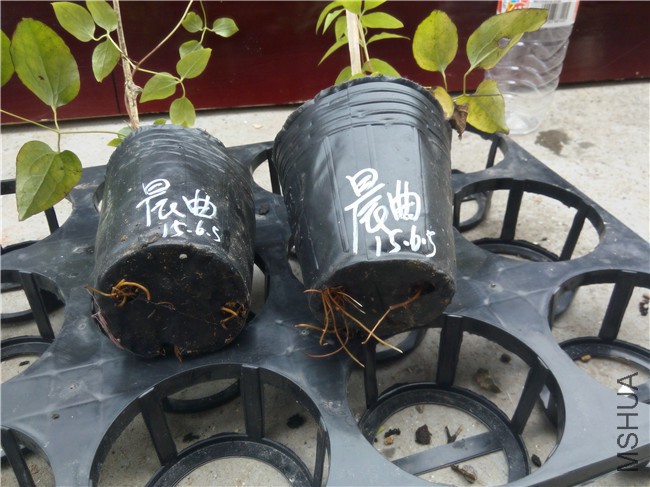 20150820152229.jpg