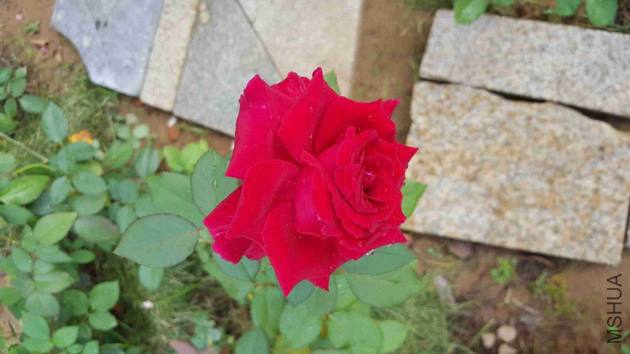 QQͼƬ20150821080054.jpg