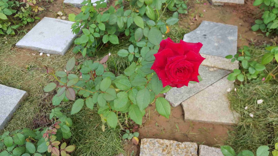 QQͼƬ20150821080101.jpg