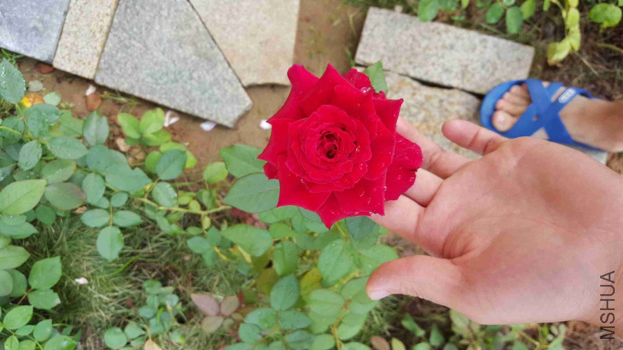 QQͼƬ20150821080119.jpg