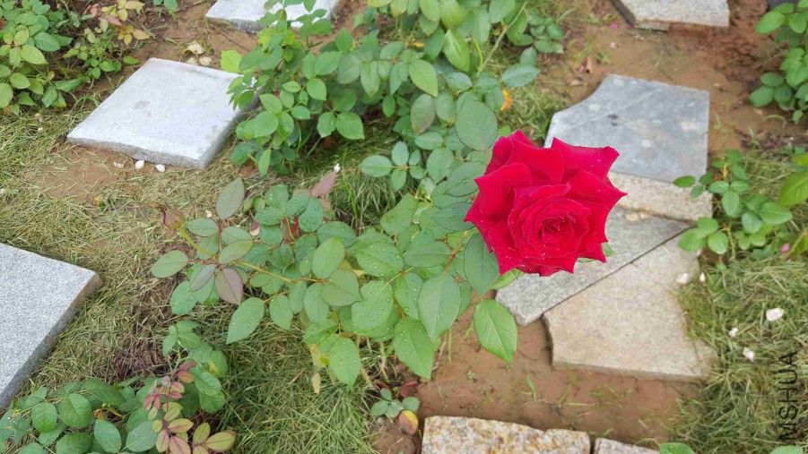 QQͼƬ20150821080150.jpg