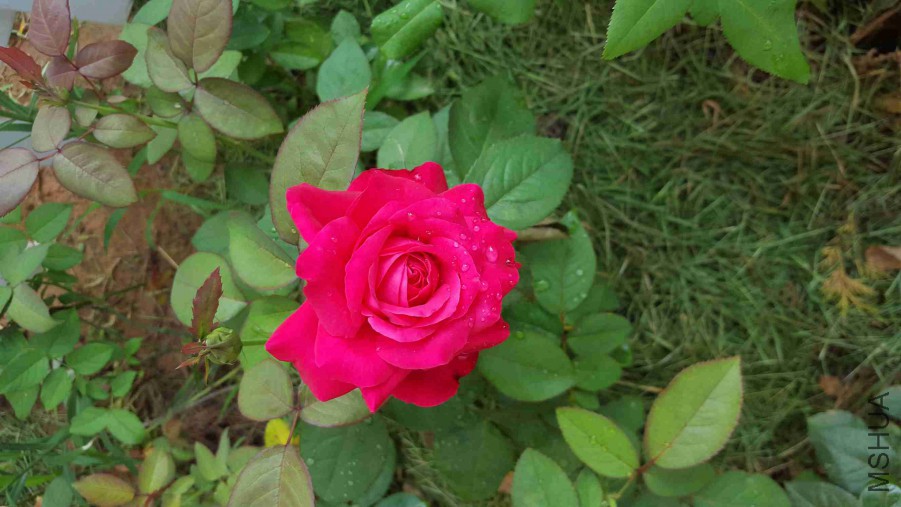 QQͼƬ20150821080211.jpg