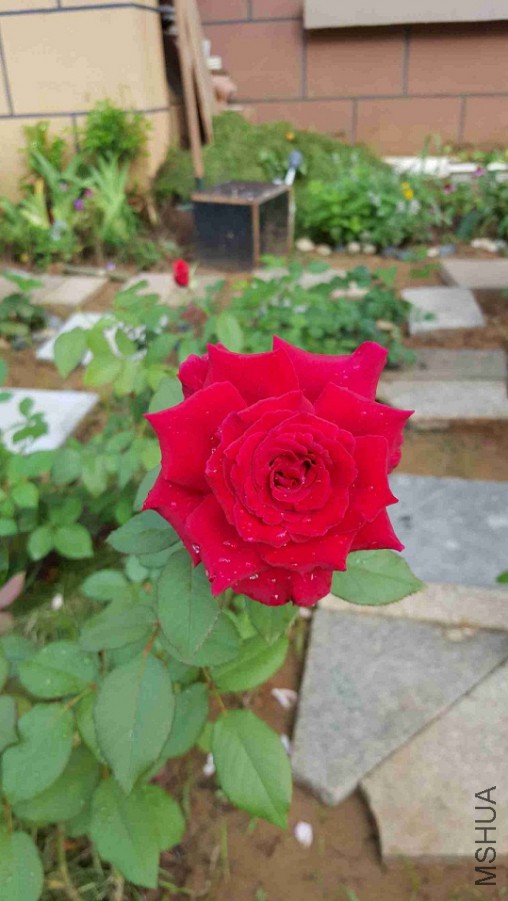 QQͼƬ20150821080127.jpg