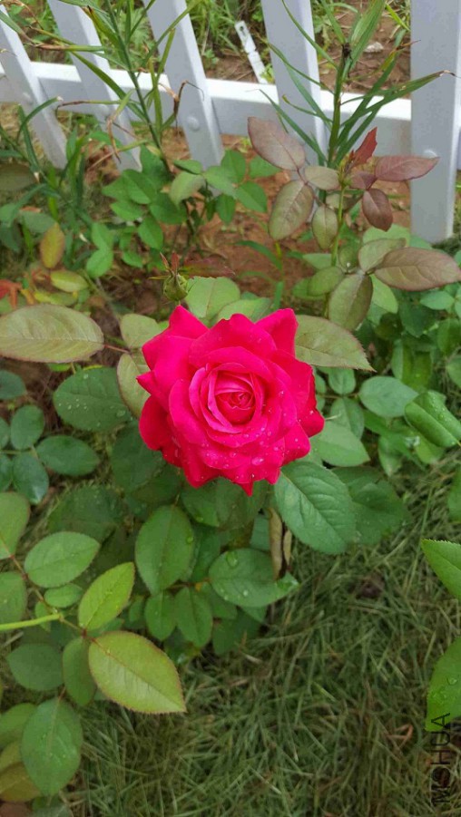 QQͼƬ20150821080113.jpg