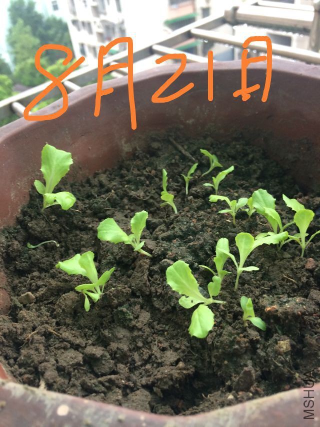 ����821.jpg