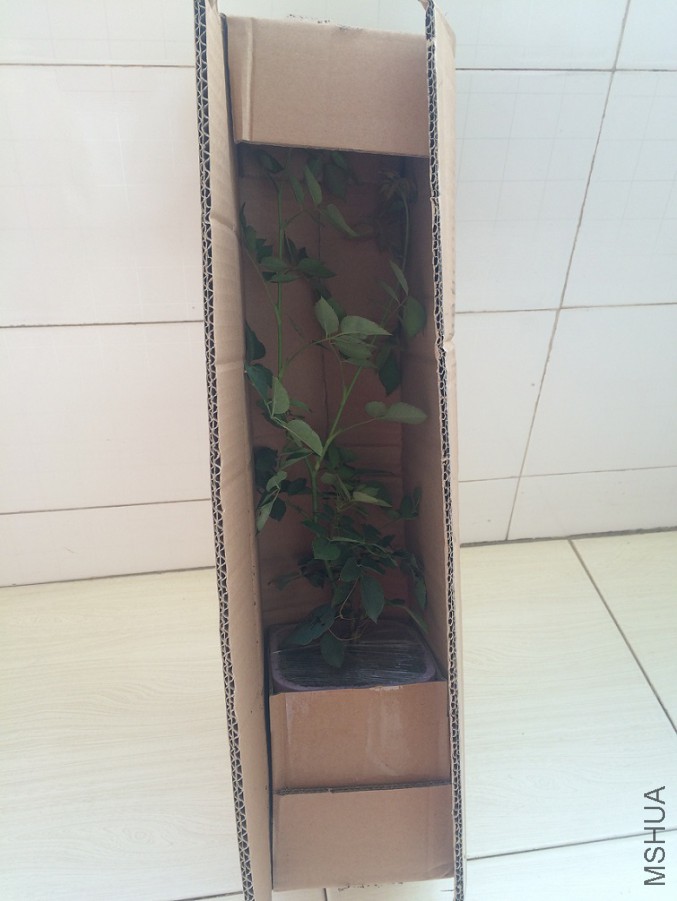 ��װ���ǲ�����