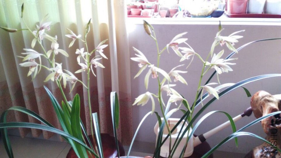 QQͼƬ20150822083441.jpg