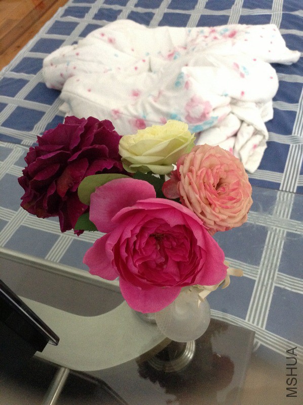 IMG_0208 (����).jpg