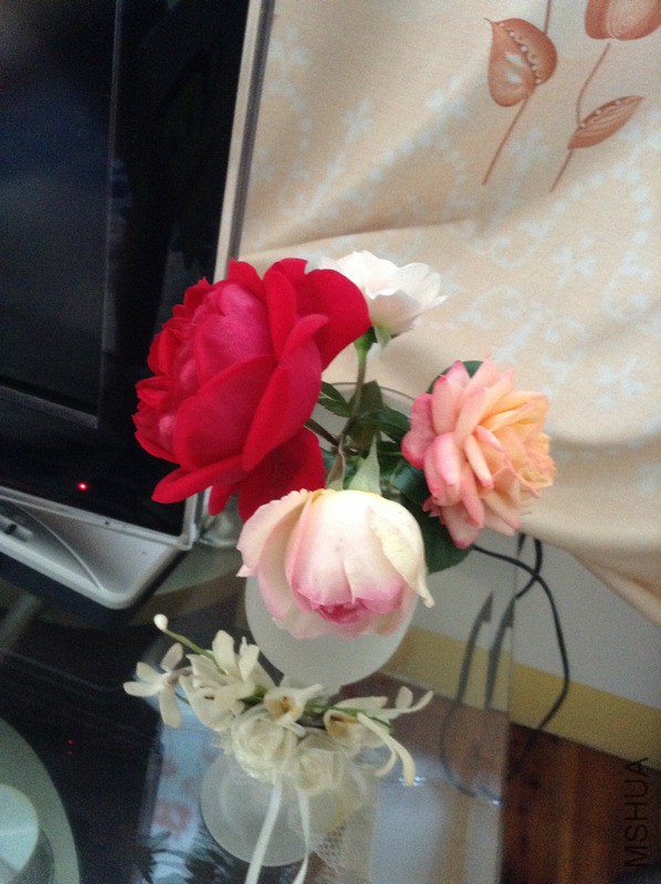 IMG_0209 (����).jpg