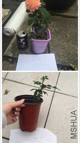 1.����c��