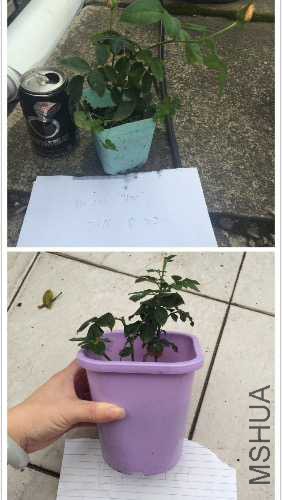 1.����b��