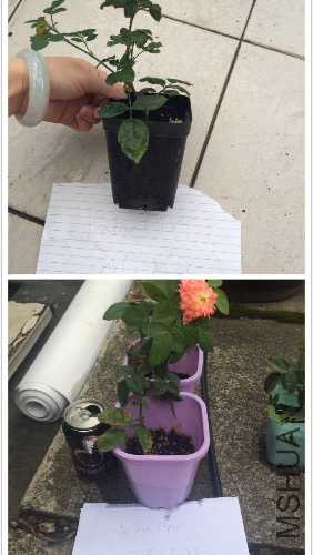 1.����a��