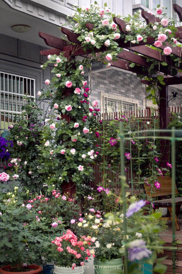 IMG_5838.jpg