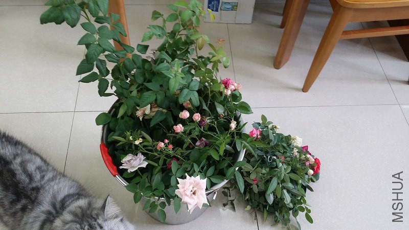 20150823_110026.jpg