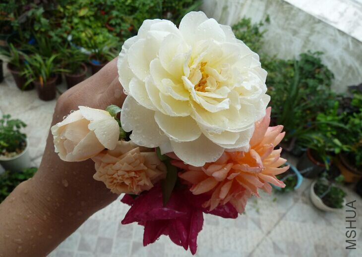 QQͼƬ20150823135537.jpg