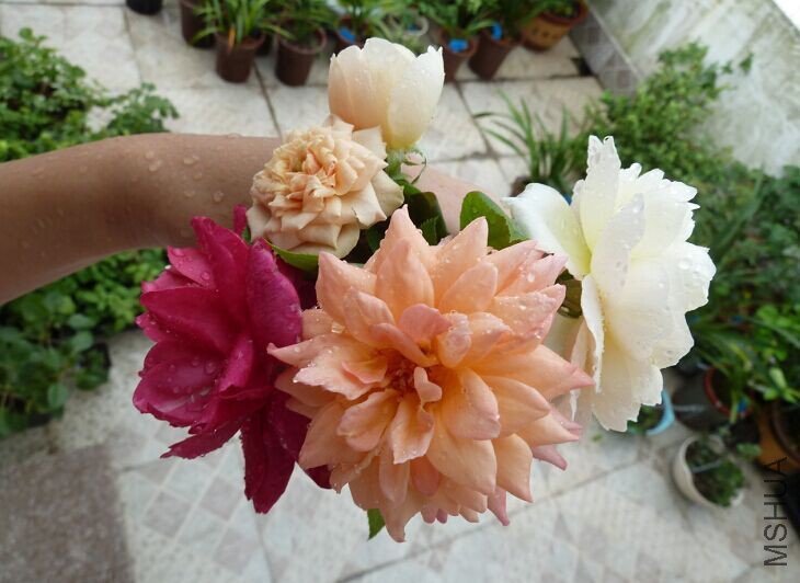 QQͼƬ20150823135541.jpg