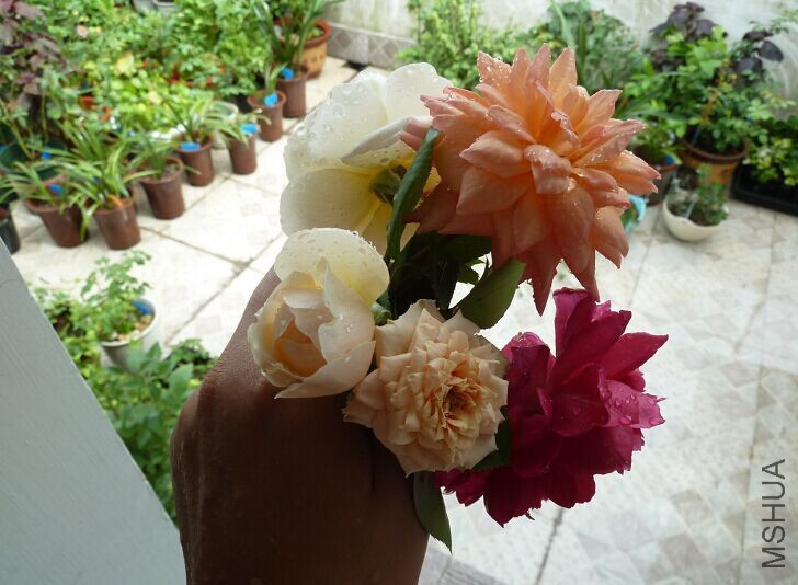 QQͼƬ20150823135550.jpg