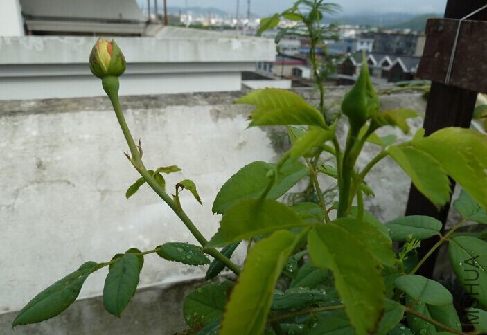 QQͼƬ20150823135521.jpg