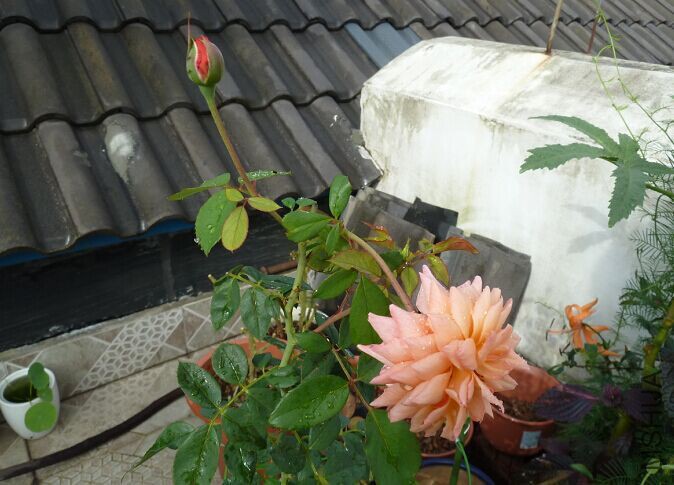 QQͼƬ20150823135506.jpg
