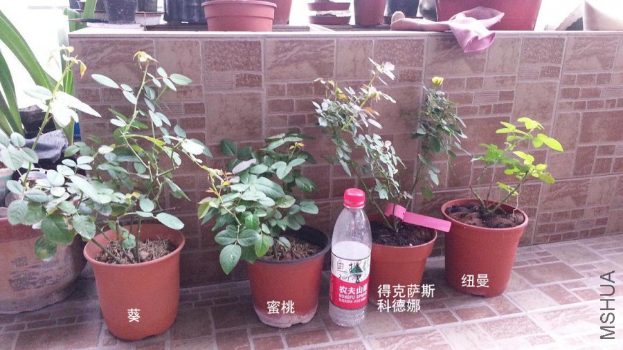 20150825_091111.jpg