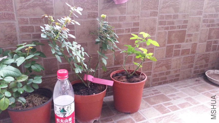 20150825_091133.jpg