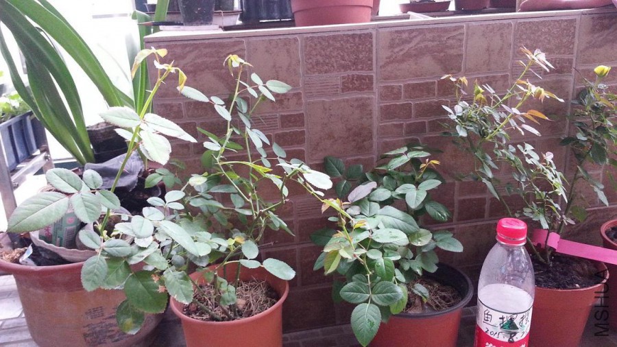 20150825_091141.jpg