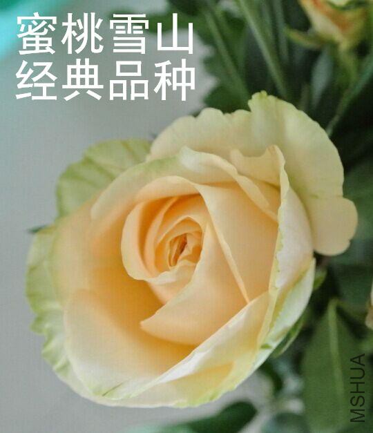 QQͼƬ20150825095536.jpg