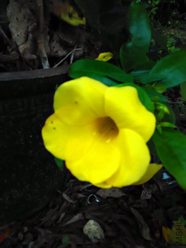 IMG_20150820_074816.jpg