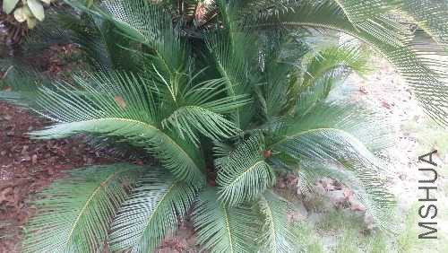 20150824_173519.jpg