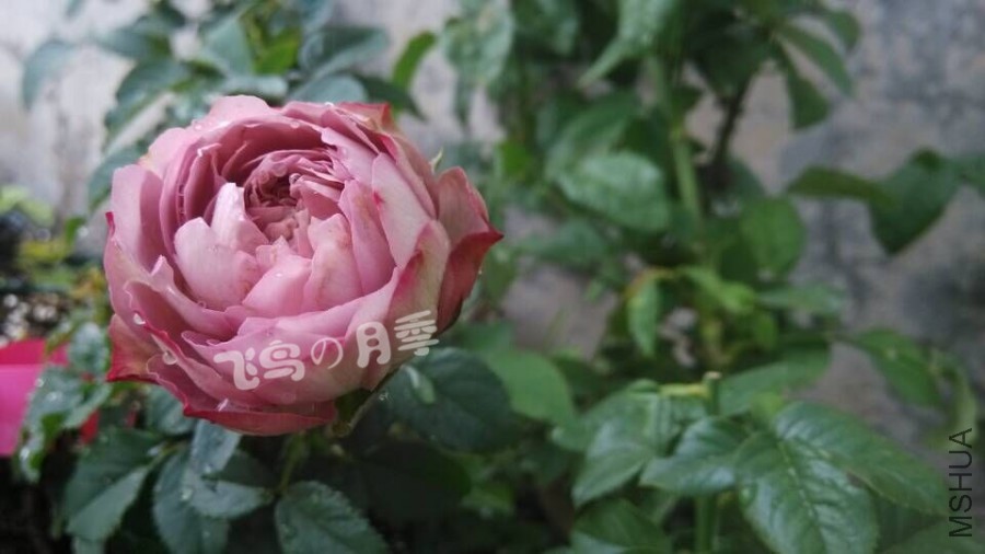 QQͼƬ20150702161102.jpg