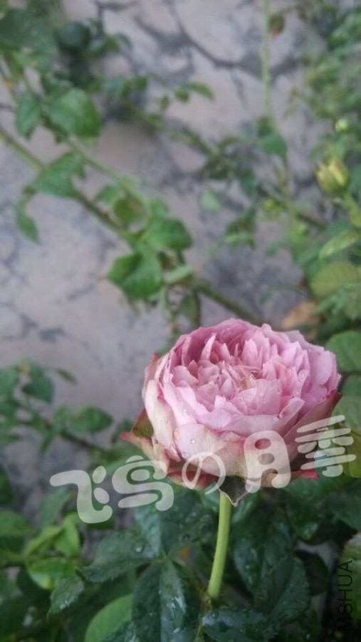 QQͼƬ20150703170551.jpg