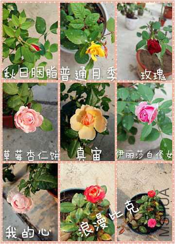 pt2015_08_27_10_02_41_mh1440641295443.jpg