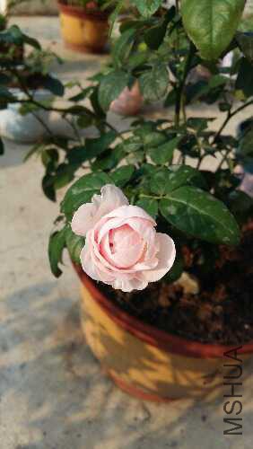 20150827_073806.jpg