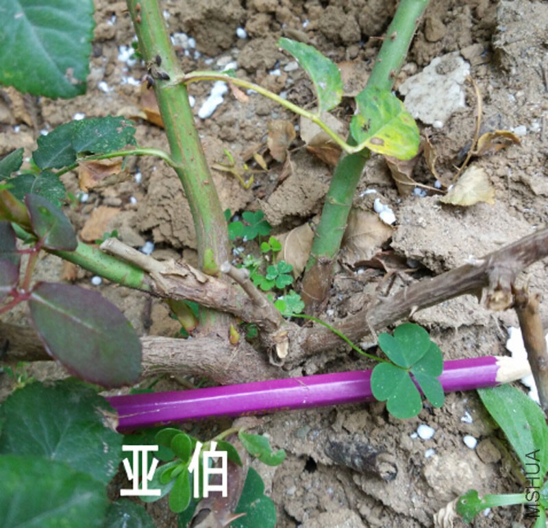 QQ��ͼ20150827171655.jpg