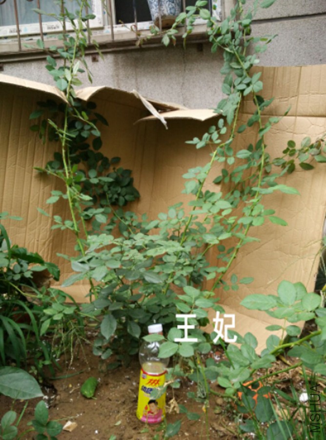 QQ��ͼ20150827171402.jpg