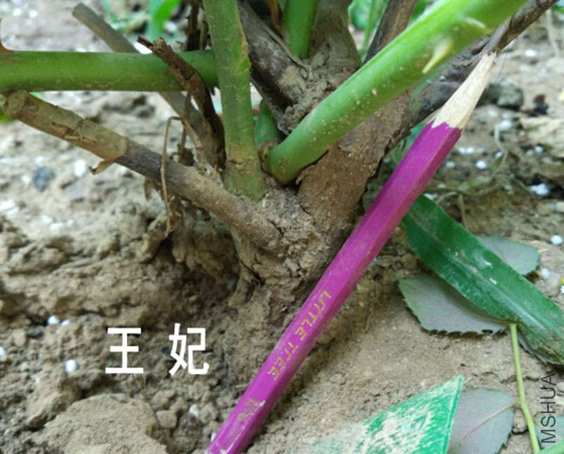 QQ��ͼ20150827171257.jpg
