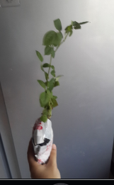 QQͼƬ20150827172458.png