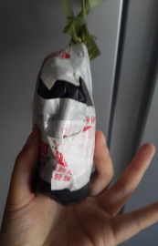 QQͼƬ20150827172511.png