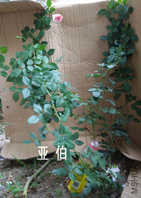 QQ��ͼ20150827171723.jpg