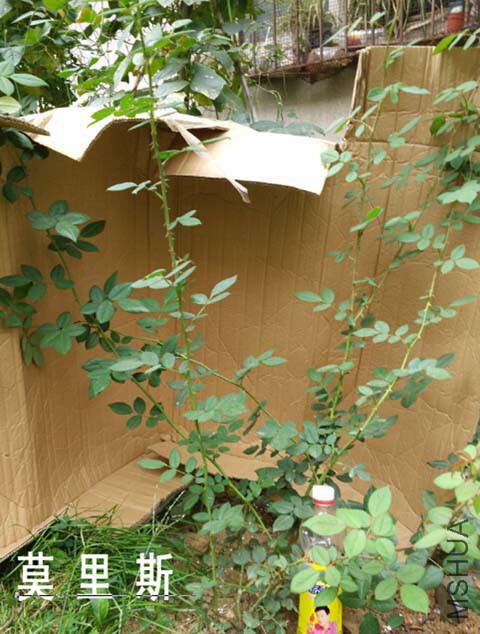 QQ��ͼ20150827171528.jpg